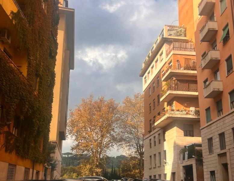 appartamento in affitto a Roma in zona Flaminio