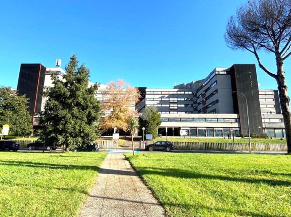 ufficio in affitto a Roma