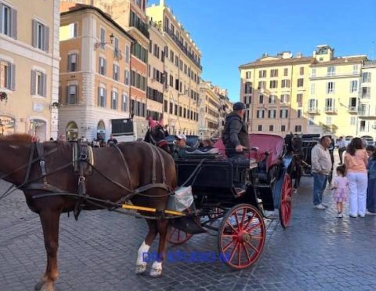 appartamento in affitto a Roma in zona Campo Marzio