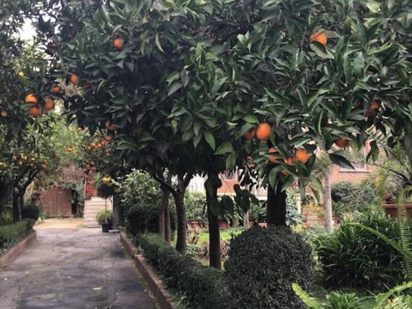 appartamento in affitto a Roma in zona San Saba - Ripa