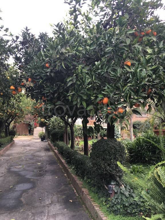 appartamento in affitto a Roma in zona San Saba - Ripa