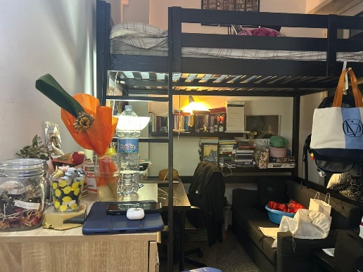 appartamento in affitto a Roma in zona Nomentano