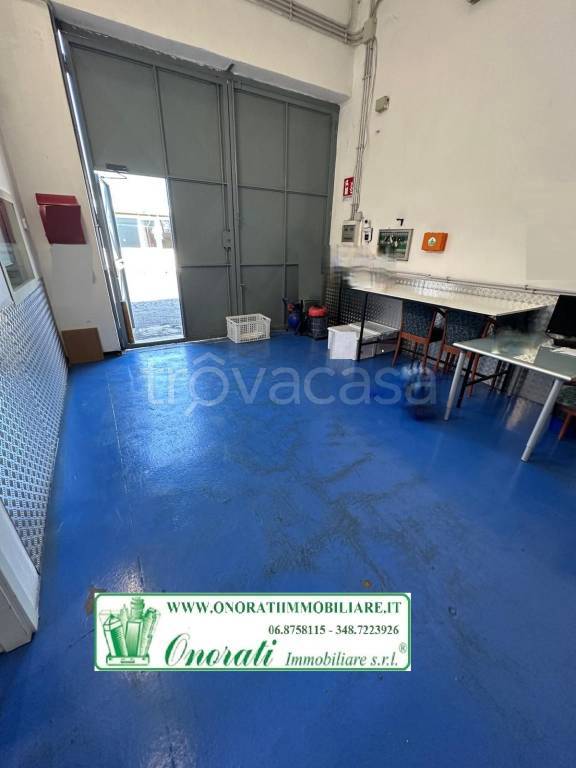 locale di sgombero in affitto a Roma in zona Tor Cervara