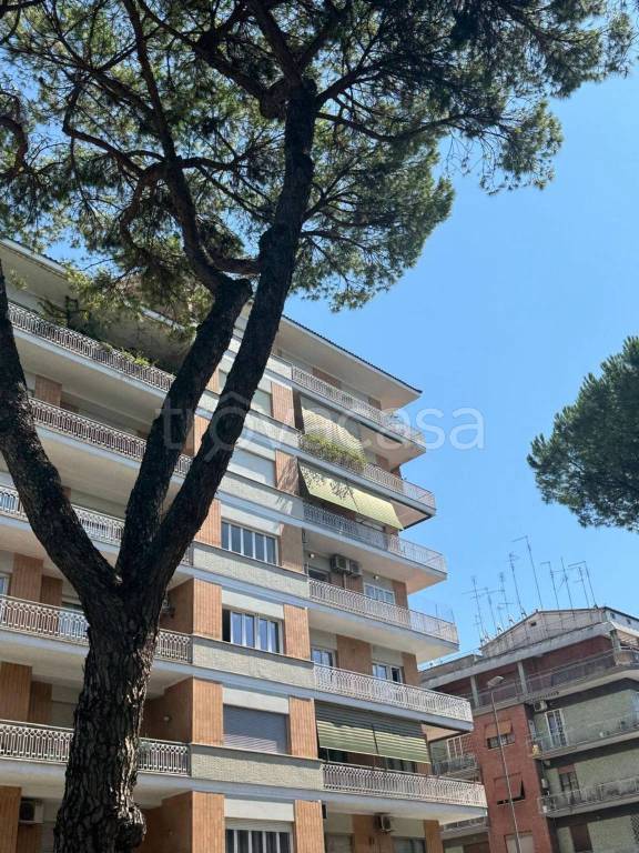 appartamento in affitto a Roma in zona Aurelio