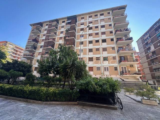 appartamento in affitto a Roma in zona Portuense