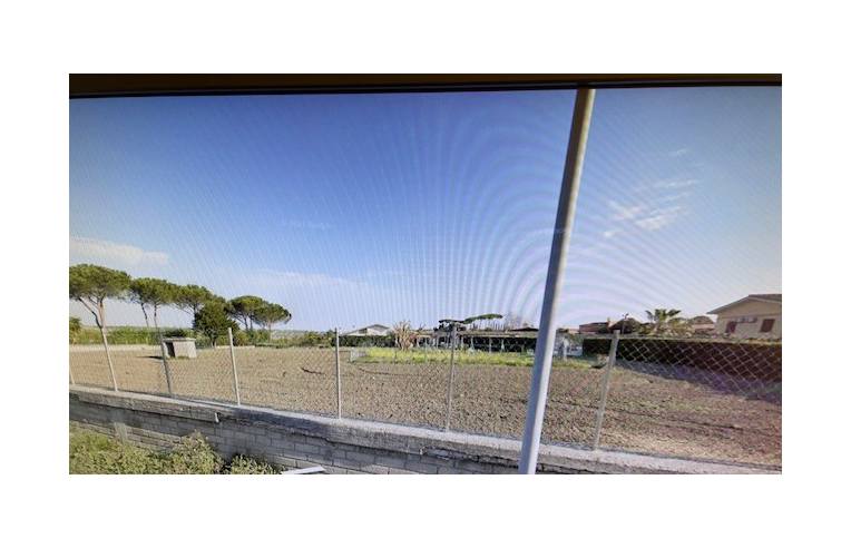 terreno agricolo in affitto a Roma in zona La Pisana