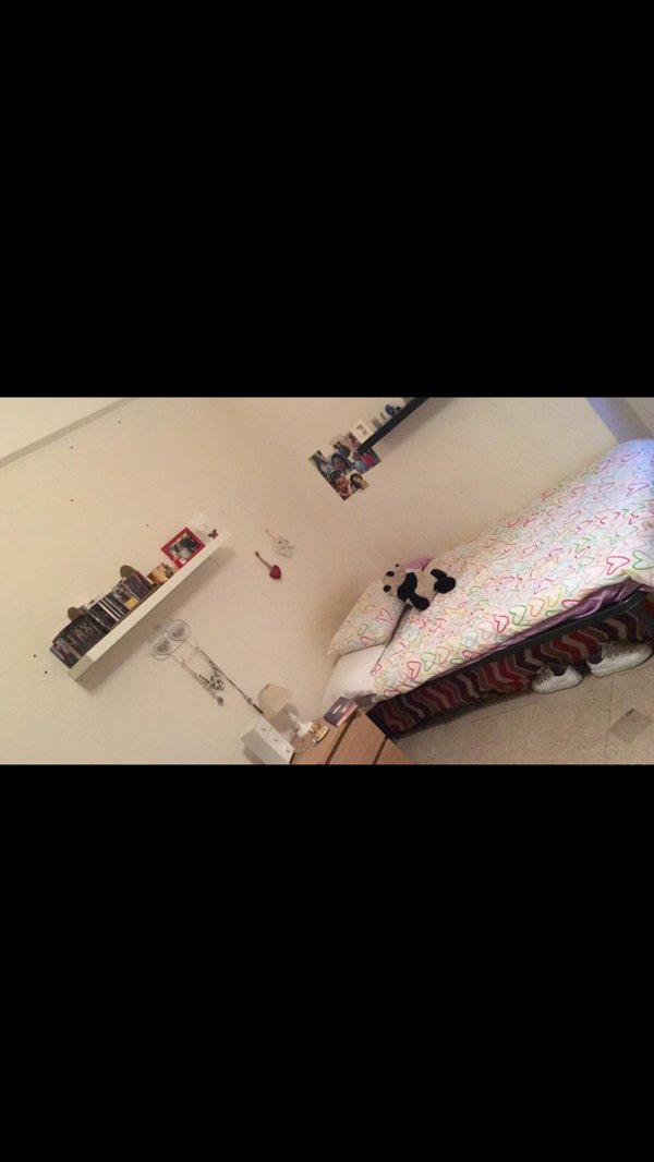 casa indipendente in affitto a Roma in zona Collatino