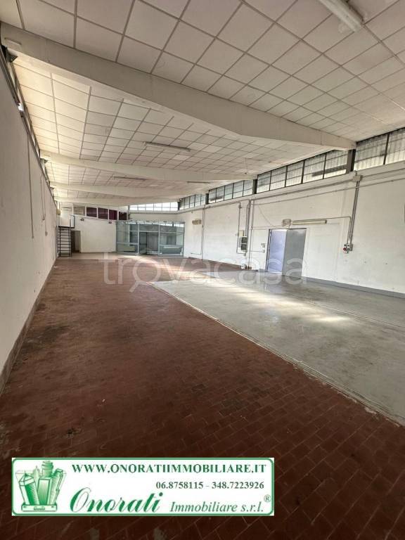 appartamento in affitto a Roma in zona Romanina