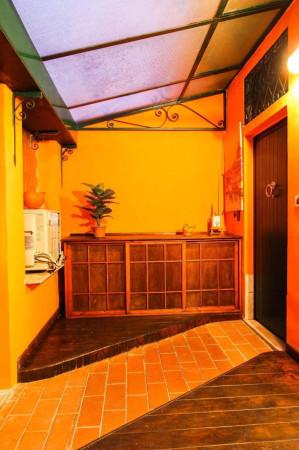 appartamento in affitto a Roma in zona Flaminio