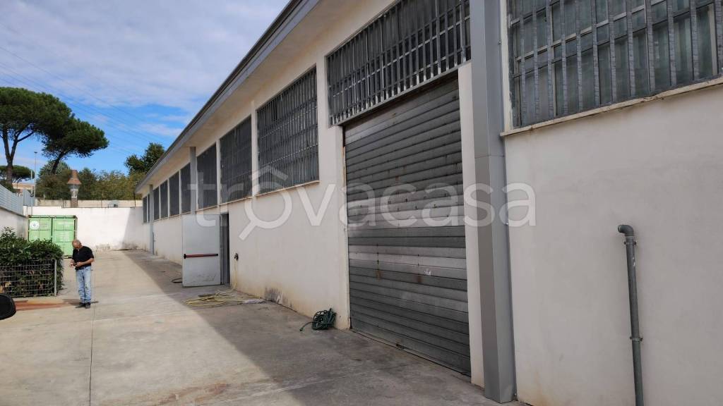 locale commerciale in affitto a Roma in zona San Basilio