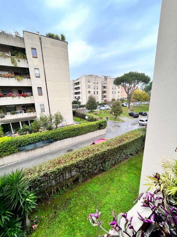 appartamento in affitto a Roma in zona Campo Marzio