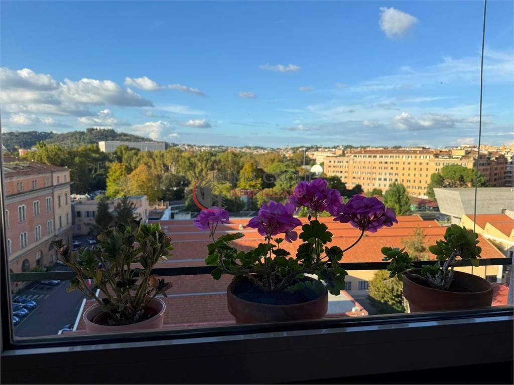 appartamento in affitto a Roma in zona Flaminio