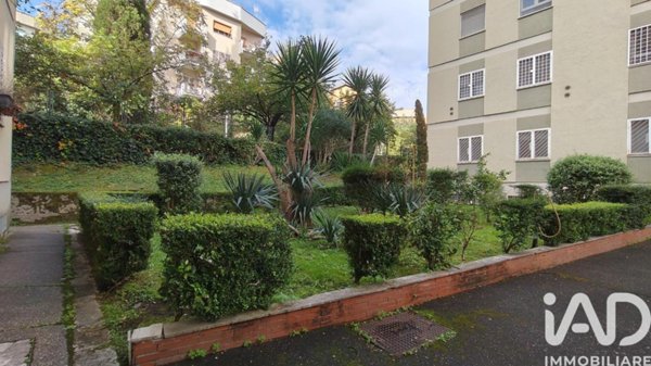 appartamento in affitto a Roma in zona Monte Sacro/Talenti