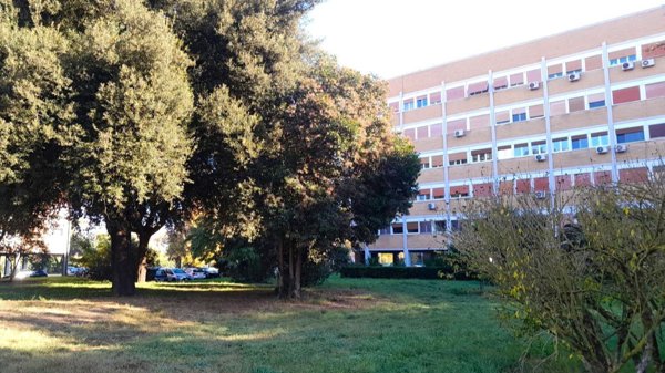 appartamento in affitto a Roma in zona Parioli