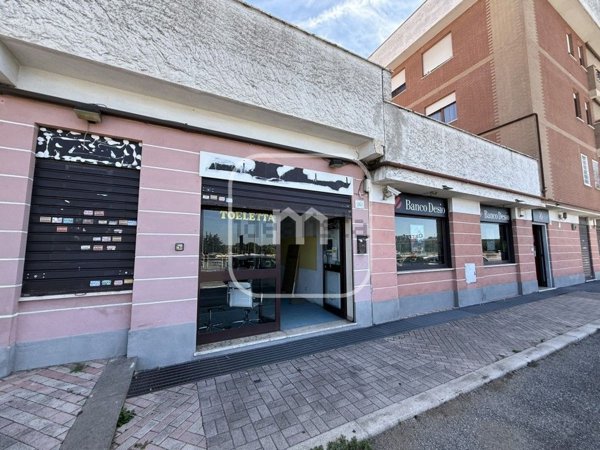 ufficio in affitto a Roma in zona Tor Vergata/Torrenova