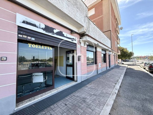 negozio in affitto a Roma in zona Tor Vergata/Torrenova