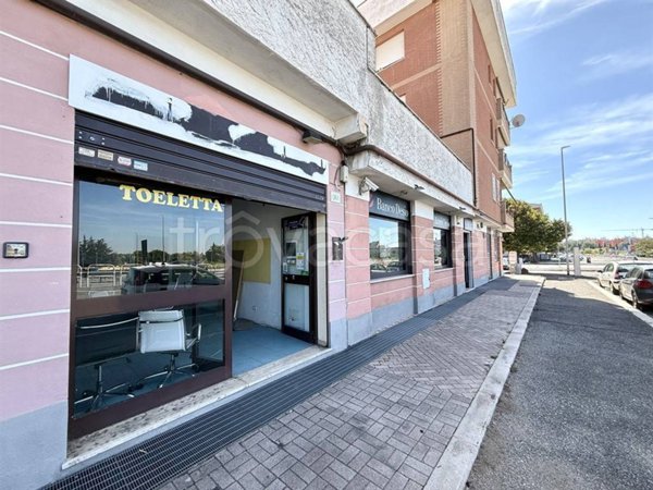 negozio in affitto a Roma in zona Tor Vergata/Torrenova