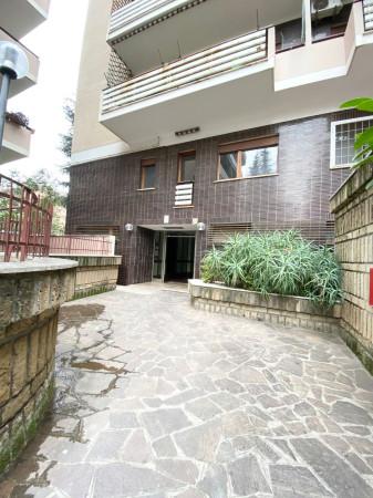 appartamento in affitto a Roma in zona EUR