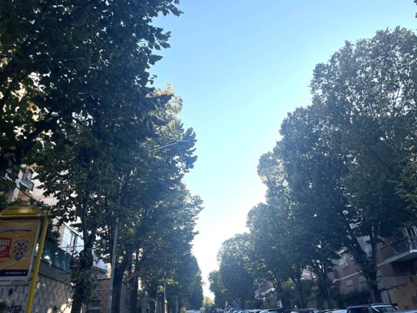 appartamento in affitto a Roma in zona Giuliano Dalmata