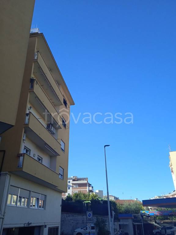 appartamento in affitto a Roma in zona Monte Sacro/Talenti