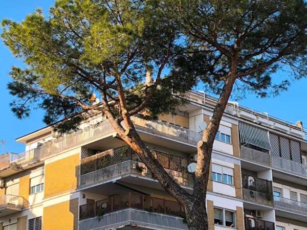 appartamento in affitto a Roma in zona Tor di Quinto