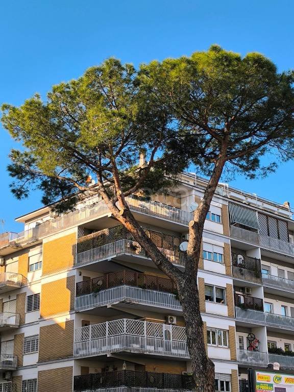 appartamento in affitto a Roma in zona Tor di Quinto
