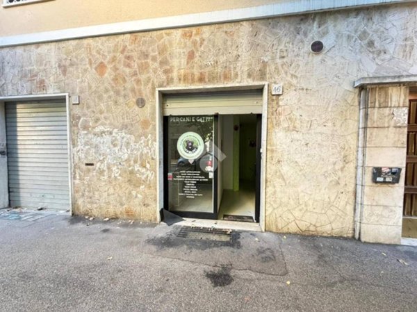 negozio in affitto a Roma in zona Trieste