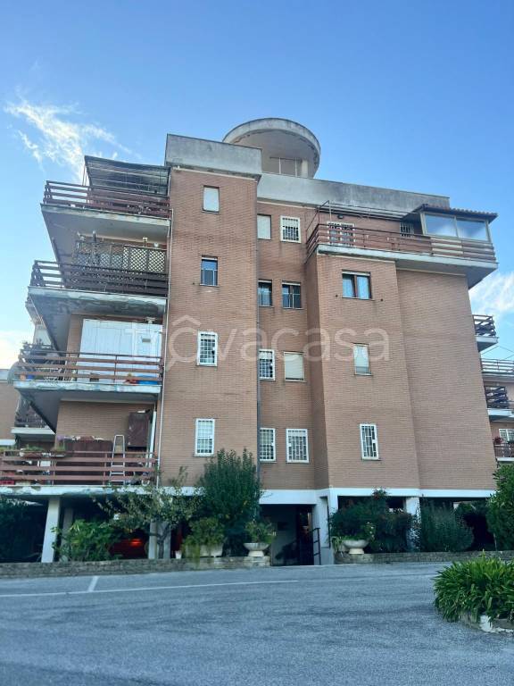 appartamento in affitto a Roma in zona Ottavia