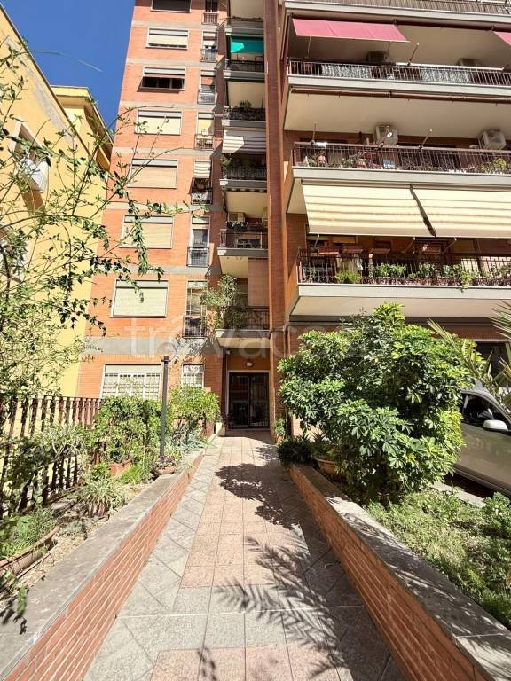 appartamento in affitto a Roma in zona Appio Claudio
