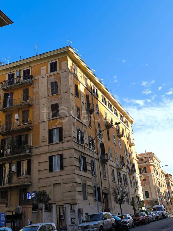 appartamento in affitto a Roma in zona Nomentano