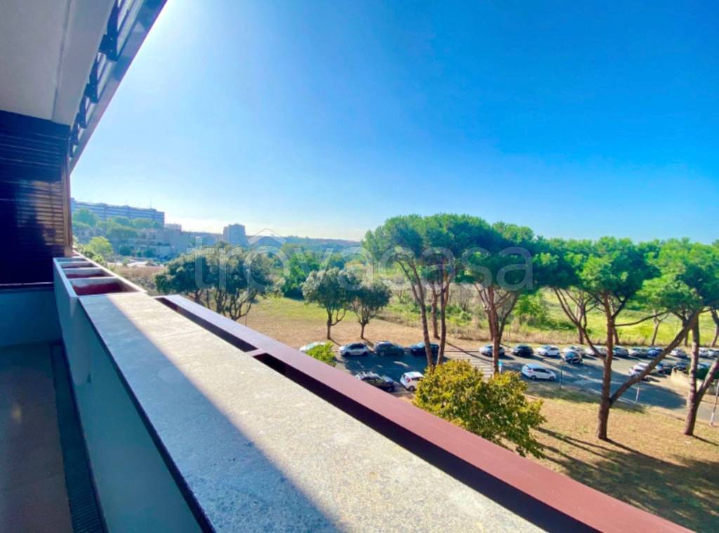 appartamento in affitto a Roma in zona Ostiense