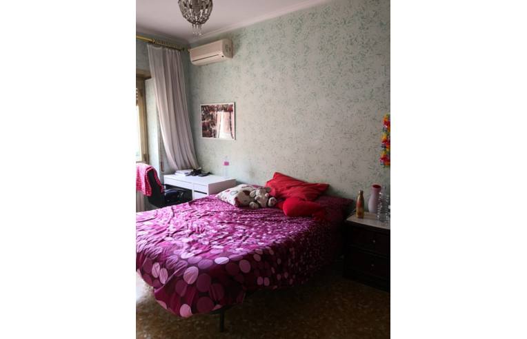 appartamento in affitto a Roma in zona Collatino