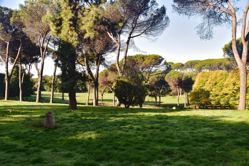 appartamento in affitto a Roma in zona Flaminio