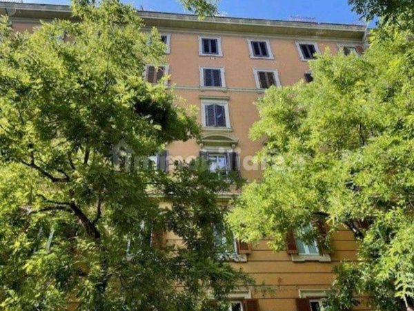 appartamento in affitto a Roma in zona Rione Prati