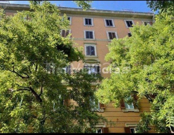 appartamento in affitto a Roma in zona Rione Prati