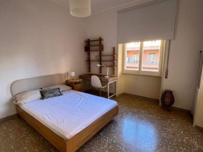 appartamento in affitto a Roma in zona Trieste