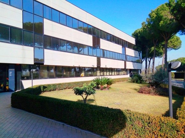 ufficio in affitto a Roma in zona Giuliano Dalmata