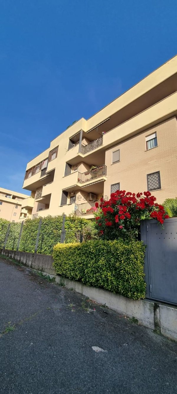 appartamento in affitto a Roma in zona Ponte di Nona