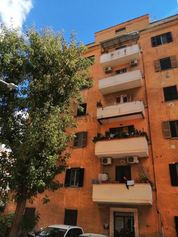 appartamento in affitto a Roma in zona Monte Sacro/Talenti