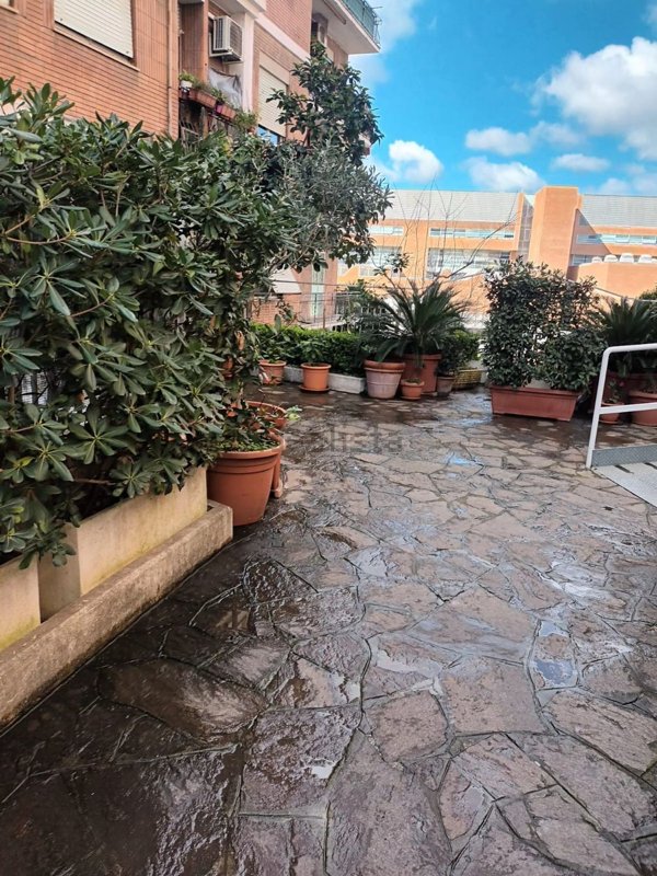 appartamento in affitto a Roma in zona Ostiense