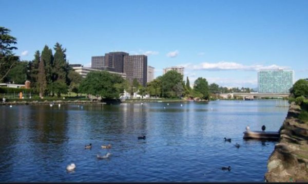 negozio in affitto a Roma in zona EUR