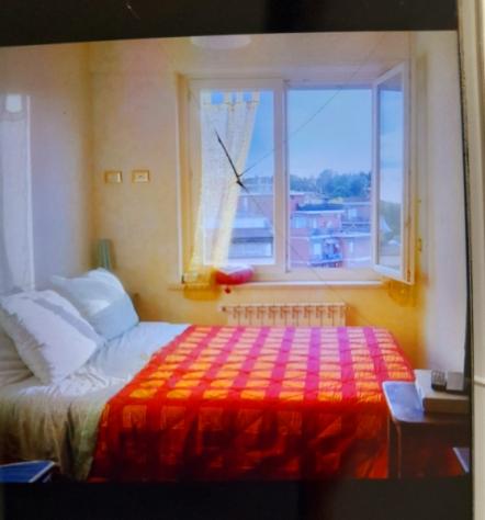 appartamento in affitto a Roma in zona Primavalle