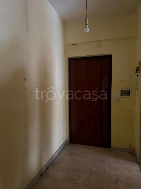 appartamento in affitto a Roma in zona Pietralata