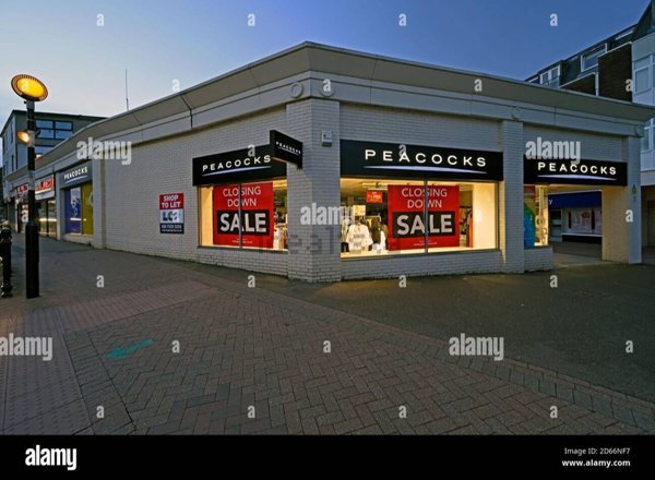 locale commerciale in affitto a Roma in zona Tor Vergata/Torrenova