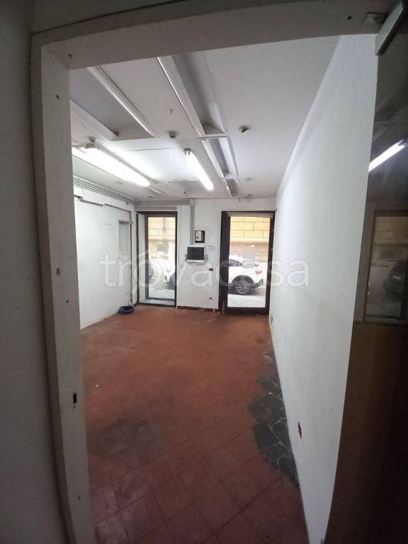 negozio in affitto a Roma in zona Campo Marzio