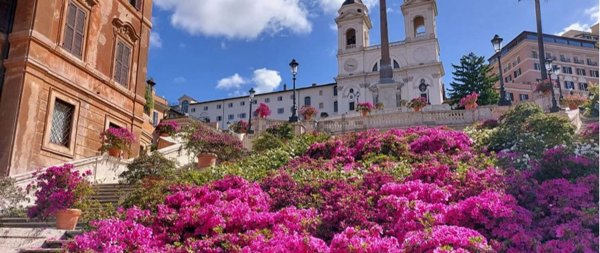 locale commerciale in affitto a Roma in zona Campo Marzio
