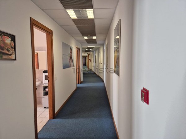 ufficio in affitto a Roma in zona Campo Marzio