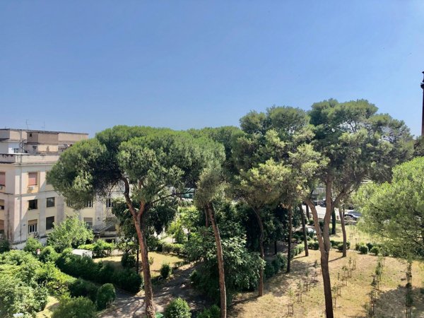 ufficio in affitto a Roma in zona Nomentano