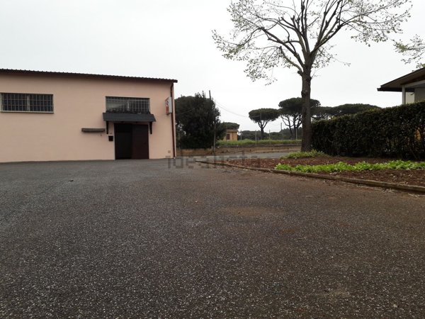 trivano in affitto a Roma in zona Giuliano Dalmata