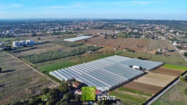 azienda agricola in affitto a Roma in zona Infernetto